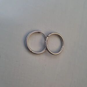 LuLaRoe Silver Twisted Hoop Earrings
